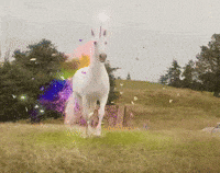 running unicorn gif
