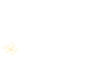 Etwerbeagentur Schmetterling GIF by et werbeagentur