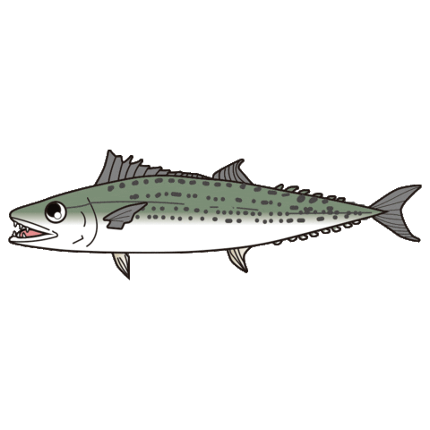 魚 Sticker by harimitsu