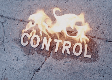 Control GIF by Winona Oak - Find & Share on GIPHY