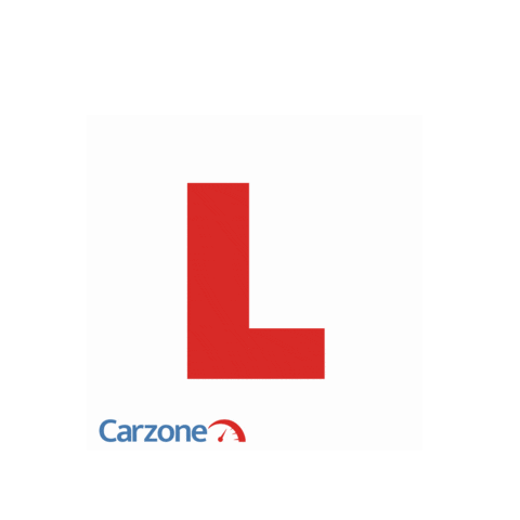 Carzone Sticker
