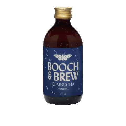 Booch & Brew Kombucha Sticker