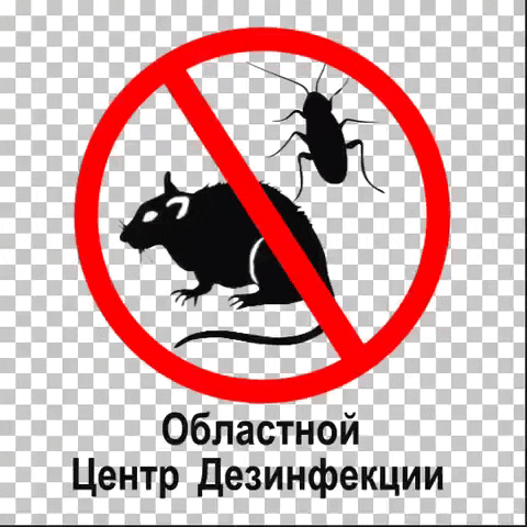 klimovsk-dez дезинфекция дезинсекция дератизация крыса мышь pestcontrol GIF