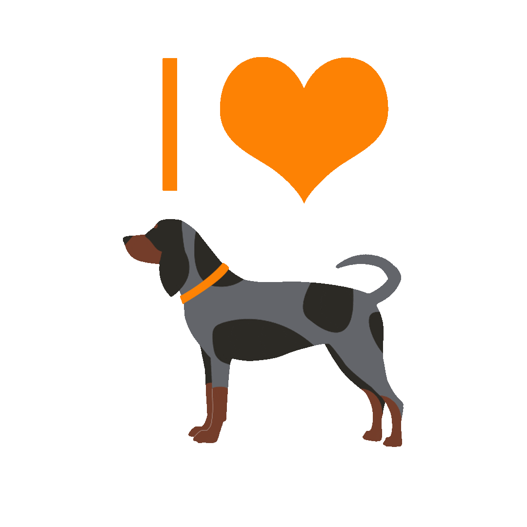 Tennessee Volunteers Dog Sticker by volunteertraditions