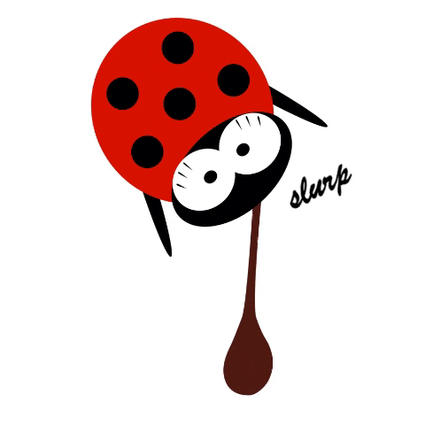 Maison Kurtos GIF