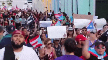 puerto rico bad bunny protests residente rickyrenuncia GIF