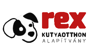 Rex Kutyaotthon Sticker