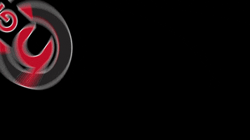 Grupo Chiru GIF