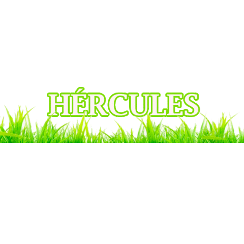 Hercules Ryegrass Sticker by Agroglobal