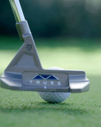 TaylorMade Golf Mx GIF