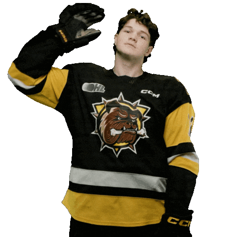 Brantford Bulldogs Sticker
