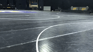 Wrestling Gomocs GIF by Chattanooga Mocs
