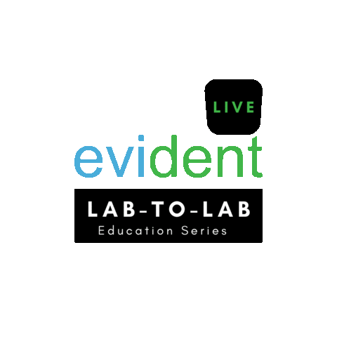 Lab Tooth Sticker by evidentdigital