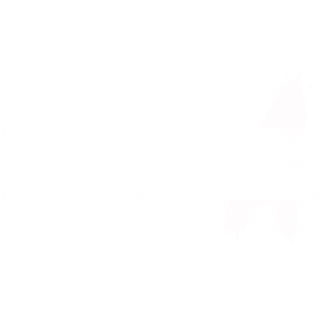 Instituto Elementus Sticker