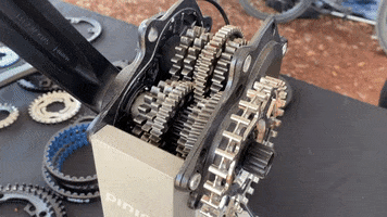 Animated GIF
