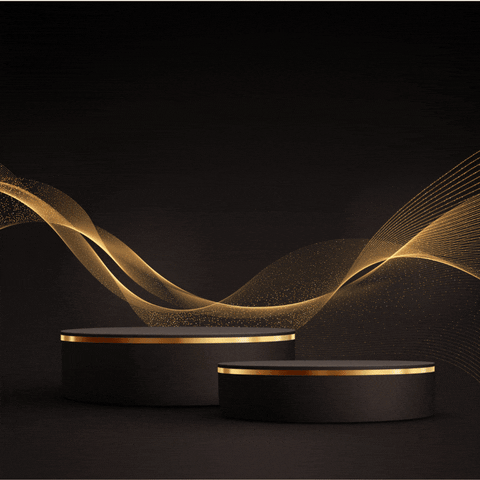 Retail Jewellery Software GIF