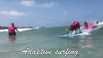 Surf Dog Ricochet GIF