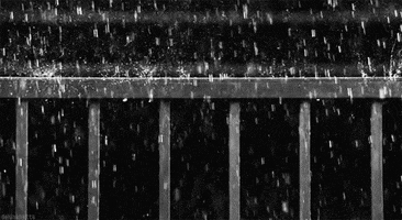 rain GIF