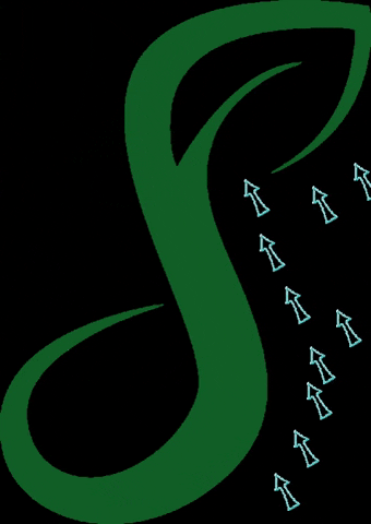 Sementes Lazarotto GIF