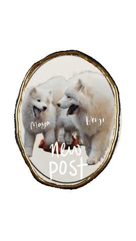 New Post Reel Sticker