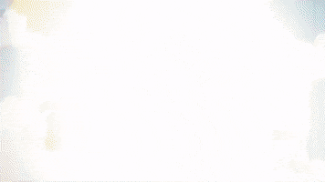 Wwe GIF