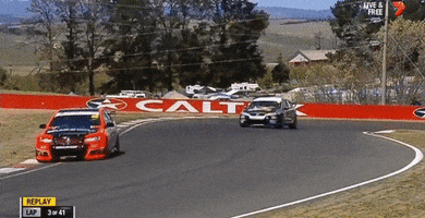 Dogecoin GIFs - Find & Share on GIPHY