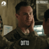 Twins Ditto GIF by Paramount Network