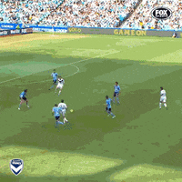 Greatest Goal GIF by Melbourne Victory FC