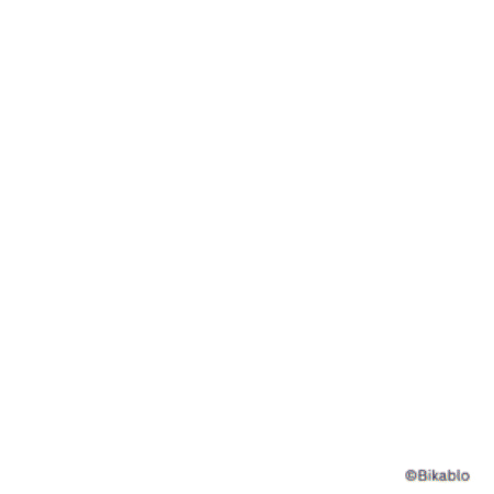LESEMENTOR Bundesverband GIF