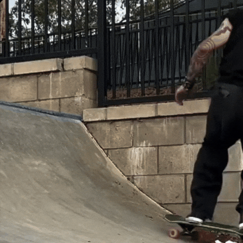 Skate Disappear GIF