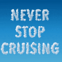 Cruising GIF by The Cruise Dudes