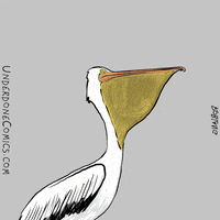 Cartoon Bird GIF by Underdone Comics