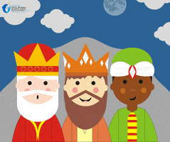 Dia De Reyes GIF by Dolphin Discovery