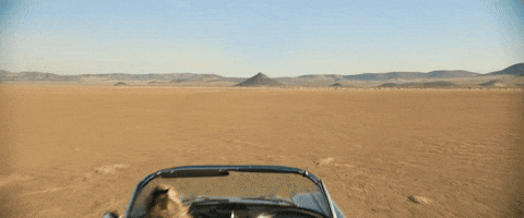 Harry Styles GIF by Don't Worry Darling - Find & Share on GIPHY