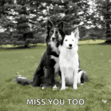 i miss you too