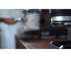 Swift Mini Sticker by La Marzocco Home