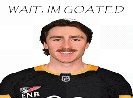 Ice Hockey GIF