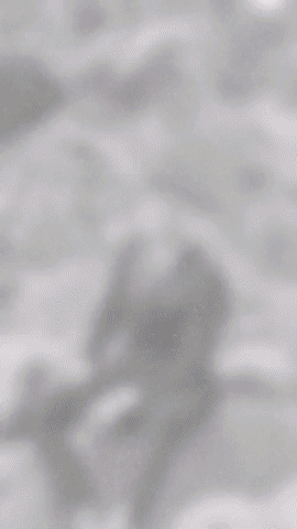 Jeordie's GIF
