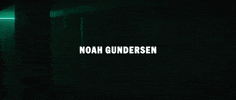 Noah Gundersen GIF