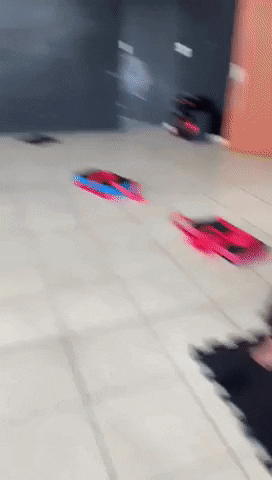 Homeostase GIF