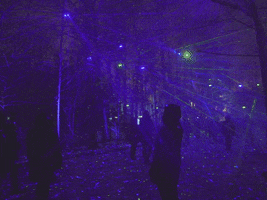 Toronto Zoo Lasers GIF by Moment Factory