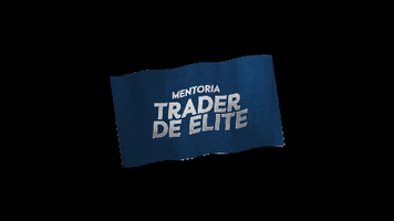 Mentoriatraderdeelite GIF by Ports Trader