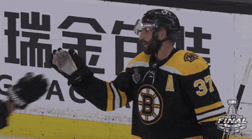 2019 stanley cup finals hug GIF by NHL