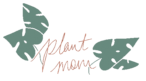 Plant Cute Sticker - Plant Cute Pop - Discover & Share GIFs