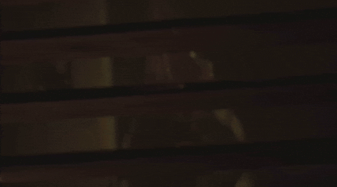 giphy.gif?cid=9b38fe91btkqkdw97pf980vdci