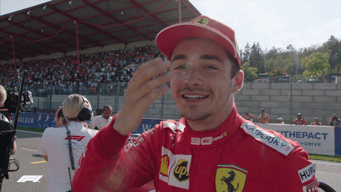 Charlesleclerc GIFs - Get the best GIF on GIPHY