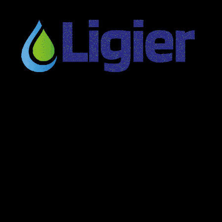 Ligier GIF