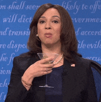 Say What Kamala Harris GIF by Saturday Night Live