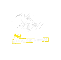 Tourismusverband MondSeeLand, Mondsee-Irrsee Sticker