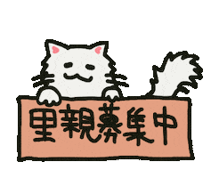 ねこ 猫 Sticker
